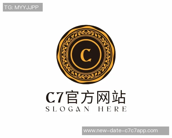 2013年足球夏季转会市场回顾与分析球员动态及影响力探讨